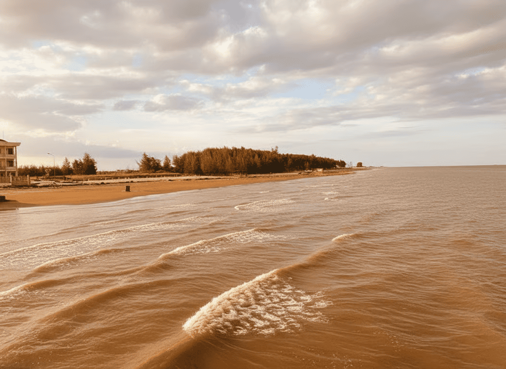 Biển Cồn V&agrave;nh